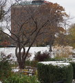 PB110006_e.JPG.small.jpeg