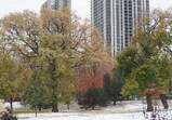 PB110009_e.JPG.small.jpeg