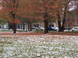 PB110034.JPG.small.jpeg