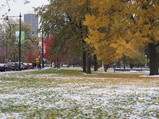 PB110036.JPG.small.jpeg