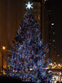 PC020027_e.JPG.small.jpeg
