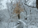 IMG_20171209_163158.jpg.small.jpeg