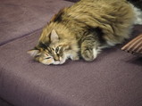 PC310113.JPG.small.jpeg