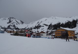 P2170045_e.JPG.small.jpeg