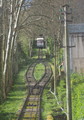 P3310084_e.JPG.small.jpeg