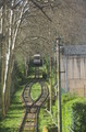 P3310085_e.JPG.small.jpeg