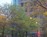 P5190010_e.JPG.small.jpeg