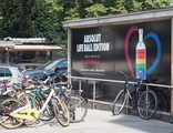 P5310052_e.JPG.small.jpeg