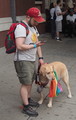 P6240025_e.JPG.small.jpeg