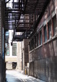 P8110010_e.JPG.small.jpeg