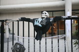 IMG_6249.JPG.small.jpeg