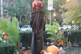 IMG_6253.JPG.small.jpeg