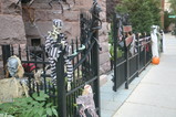 IMG_6259.JPG.small.jpeg