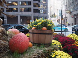 PA310007.JPG.small.jpeg