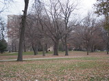 PB220008.JPG.small.jpeg