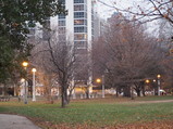 PB220020.JPG.small.jpeg