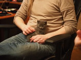 PC270187.JPG.small.jpeg