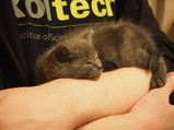 PC270190.JPG.small.jpeg