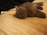 PC270203.JPG.small.jpeg