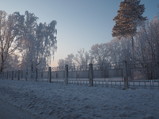 PC310005.JPG.small.jpeg