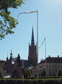 P5310066_e.JPG.small.jpeg