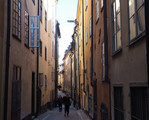 P5310075_e.JPG.small.jpeg