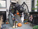 PA190006.JPG.small.jpeg