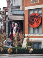 PA190009.JPG.small.jpeg