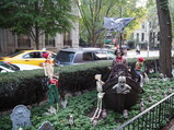 PA190012.JPG.small.jpeg