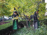 PA190014.JPG.small.jpeg
