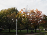 PA190015.JPG.small.jpeg