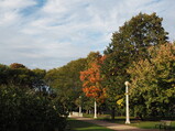 PA190016.JPG.small.jpeg