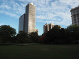 PA190017.JPG.small.jpeg