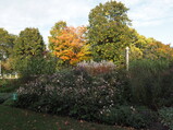 PA190020.JPG.small.jpeg