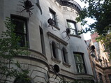 PA190027.JPG.small.jpeg