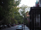 PA190041.JPG.small.jpeg