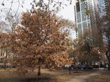 PB240008.JPG.small.jpeg