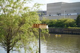 DSC00024.JPG.small.jpeg