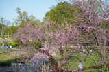 DSC00049.JPG.small.jpeg