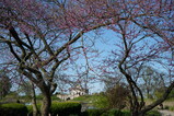 DSC00059.JPG.small.jpeg