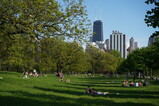 DSC00060.JPG.small.jpeg