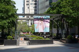 DSC00337.JPG.small.jpeg
