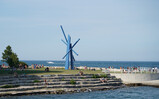 DSC00352_e.JPG.small.jpeg