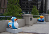 DSC00385_e.JPG.small.jpeg