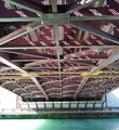 DSC00410_e.JPG.small.jpeg