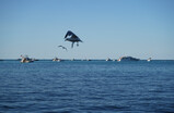 DSC00435_e.JPG.small.jpeg