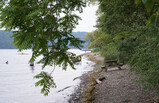 DSC00473_e.JPG.small.jpeg