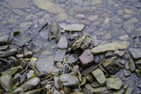 DSC00483.JPG.small.jpeg