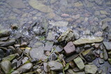 DSC00484.JPG.small.jpeg