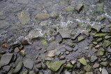 DSC00495.JPG.small.jpeg